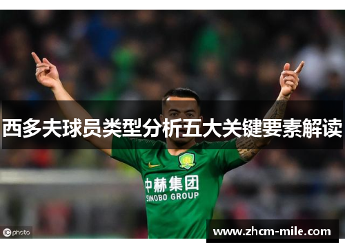 西多夫球员类型分析五大关键要素解读 西多夫球员类型分析五大关键要素解读