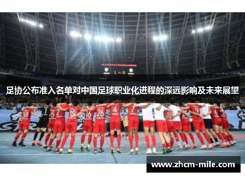 足协公布准入名单对中国足球职业化进程的深远影响及未来展望