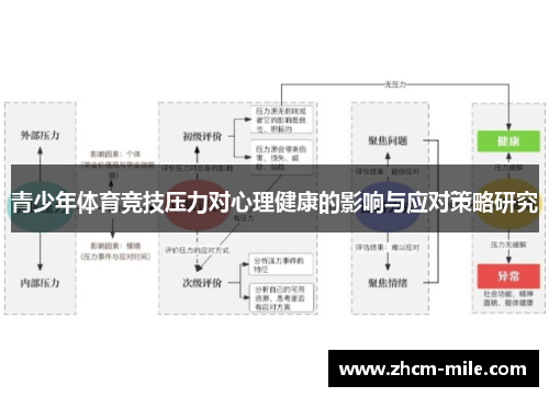 青少年体育竞技压力对心理健康的影响与应对策略研究 青少年体育竞技压力对心理健康的影响与应对策略研究