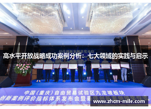 高水平开放战略成功案例分析：七大领域的实践与启示